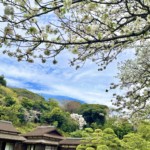 自宅や土地等の相続登記が義務化されました。イメージ